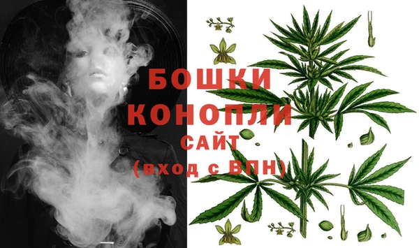 не бодяженный Горно-Алтайск