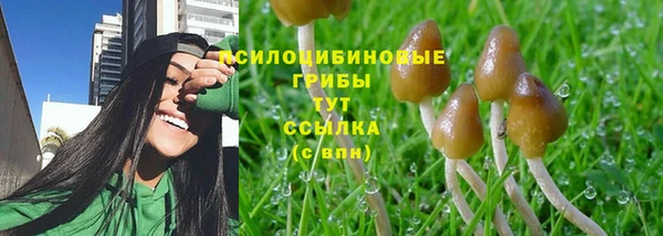 не бодяженный Горно-Алтайск