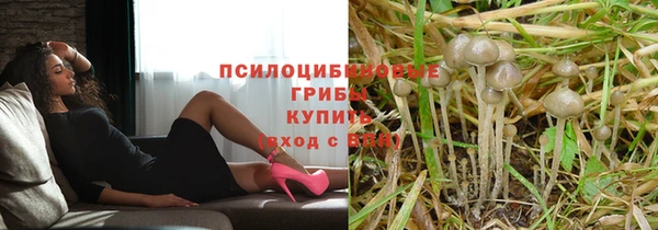 не бодяженный Горно-Алтайск